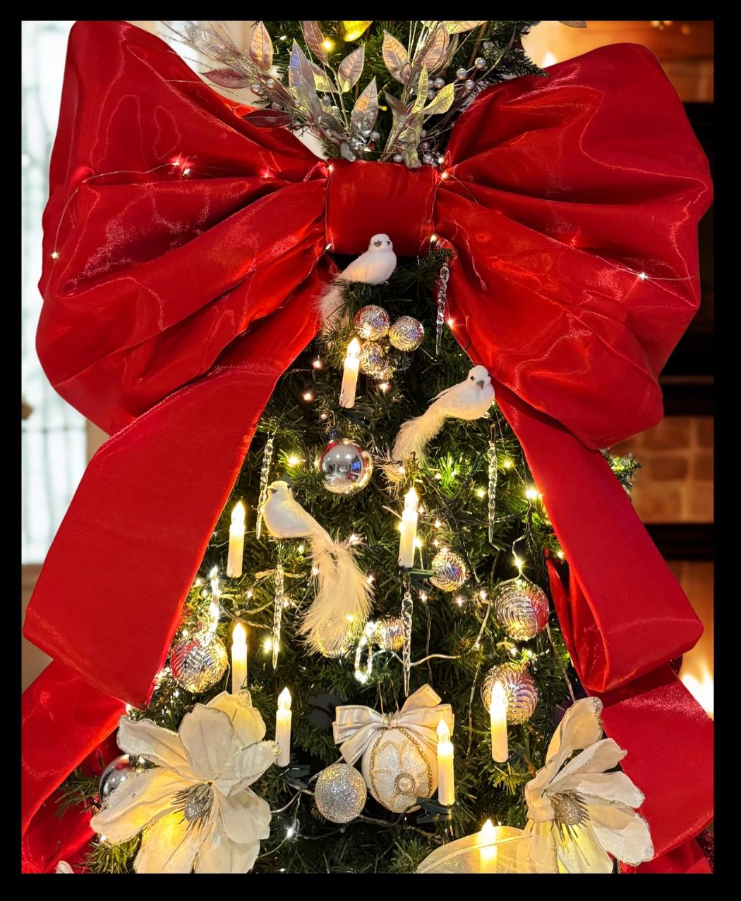 Fiyonk ve Kurdeleler